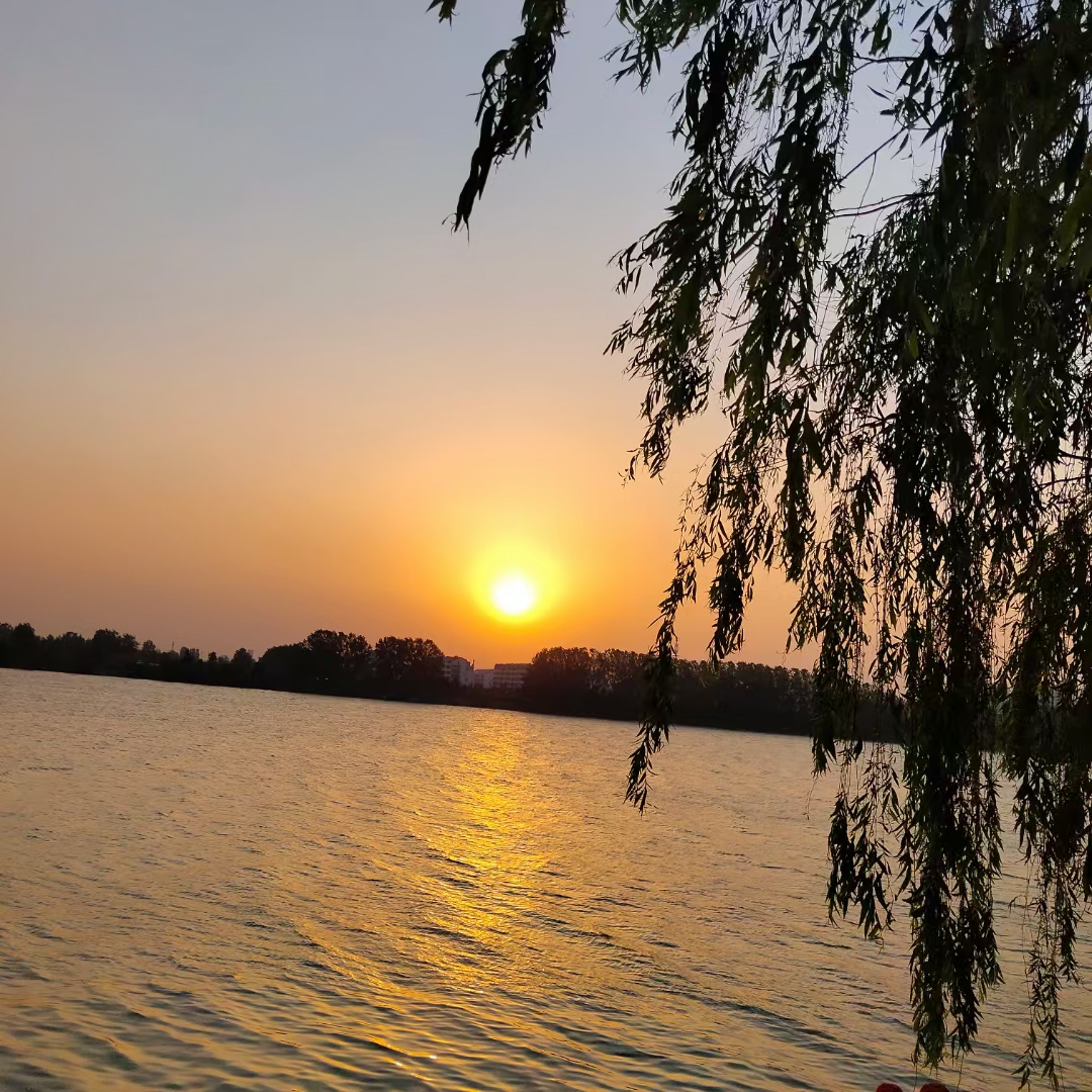 每天，朝阳从v体育升起照亮临沂这座城市_酒业公司_刘丽娜.jpg
