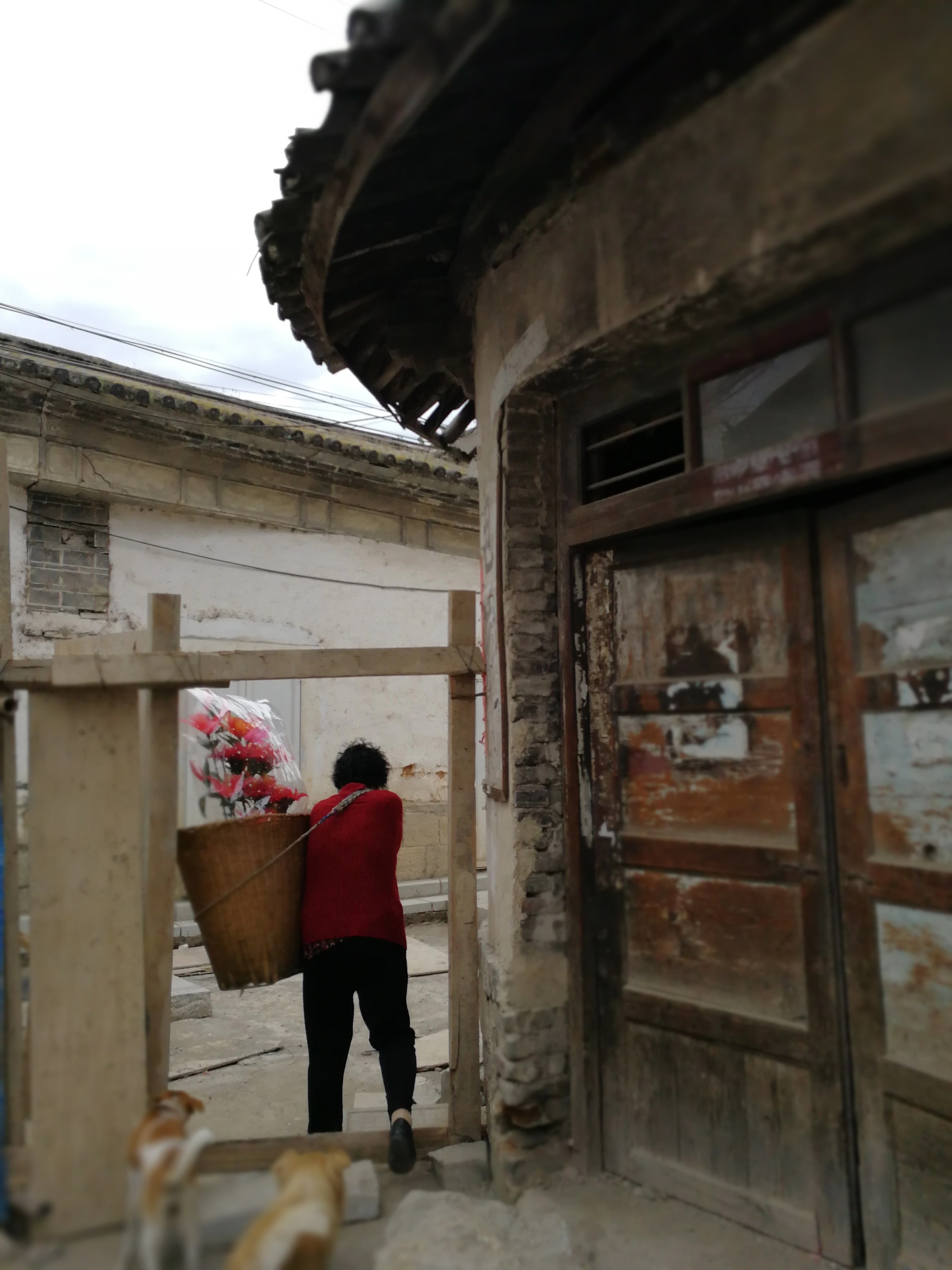 背篓 丰媛媛 摄.JPG