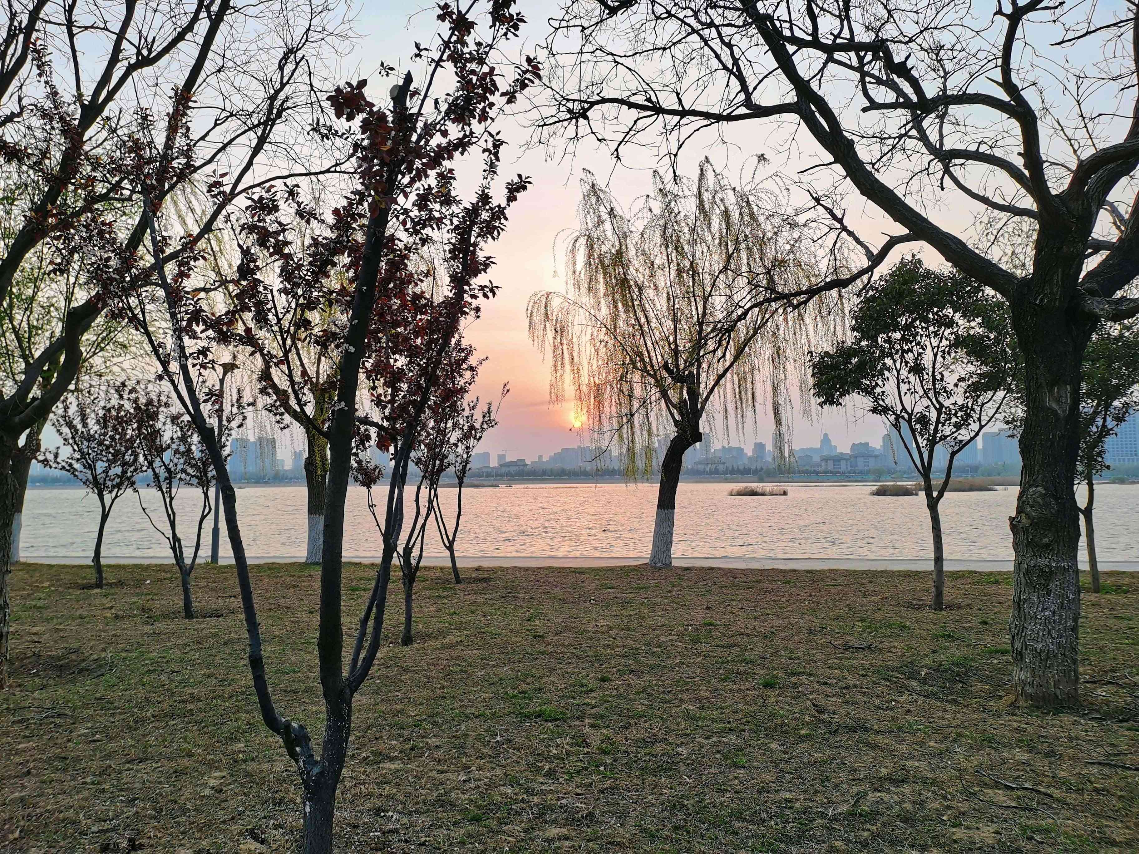 岸芳春色晓 谢雨晨 摄(1).jpg