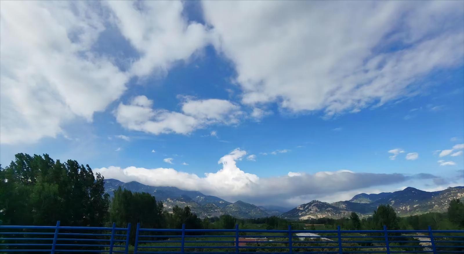 凤还巢 辛崇茹 摄(1).jpg
