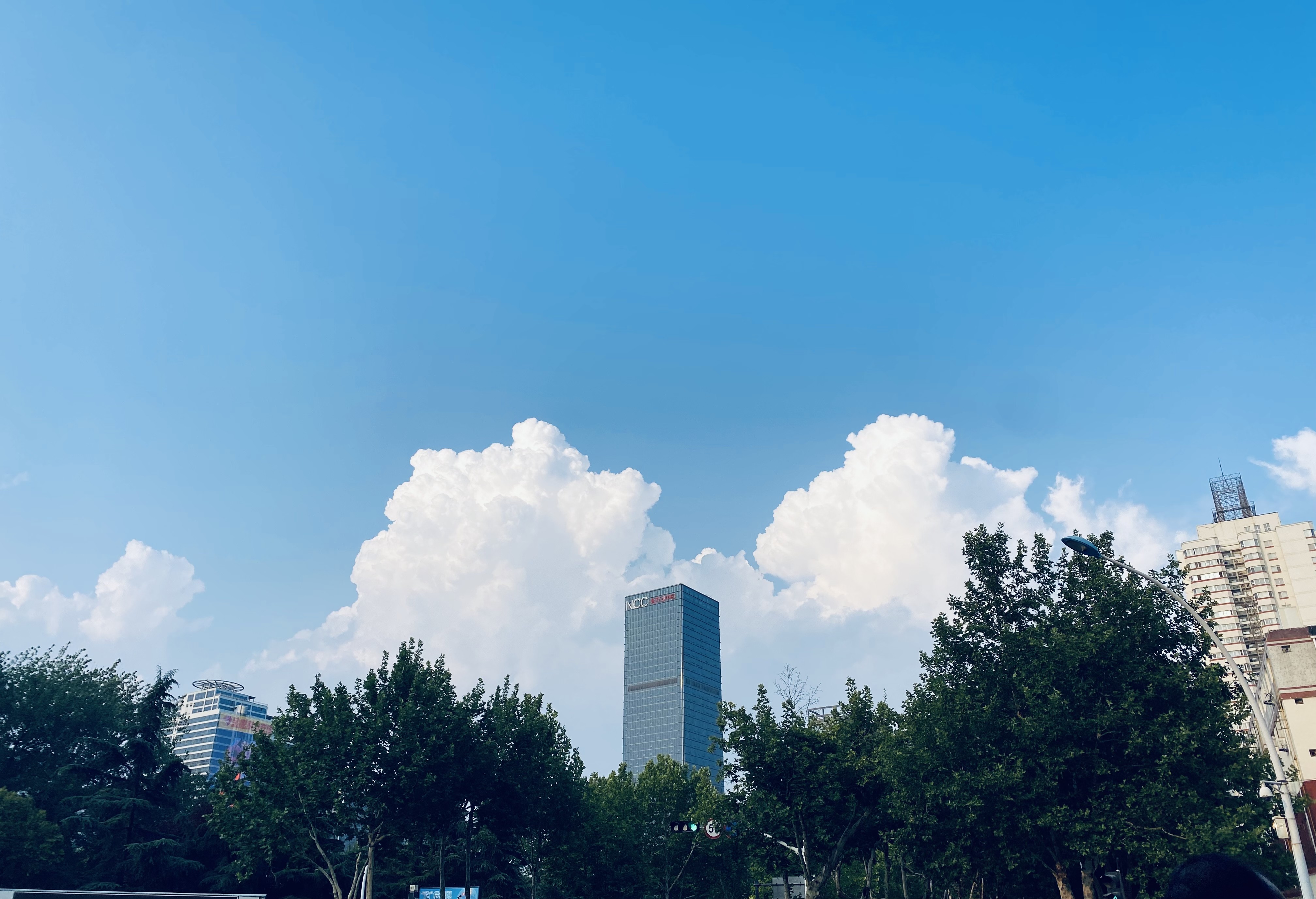 夏 赵秋阳摄.jpg