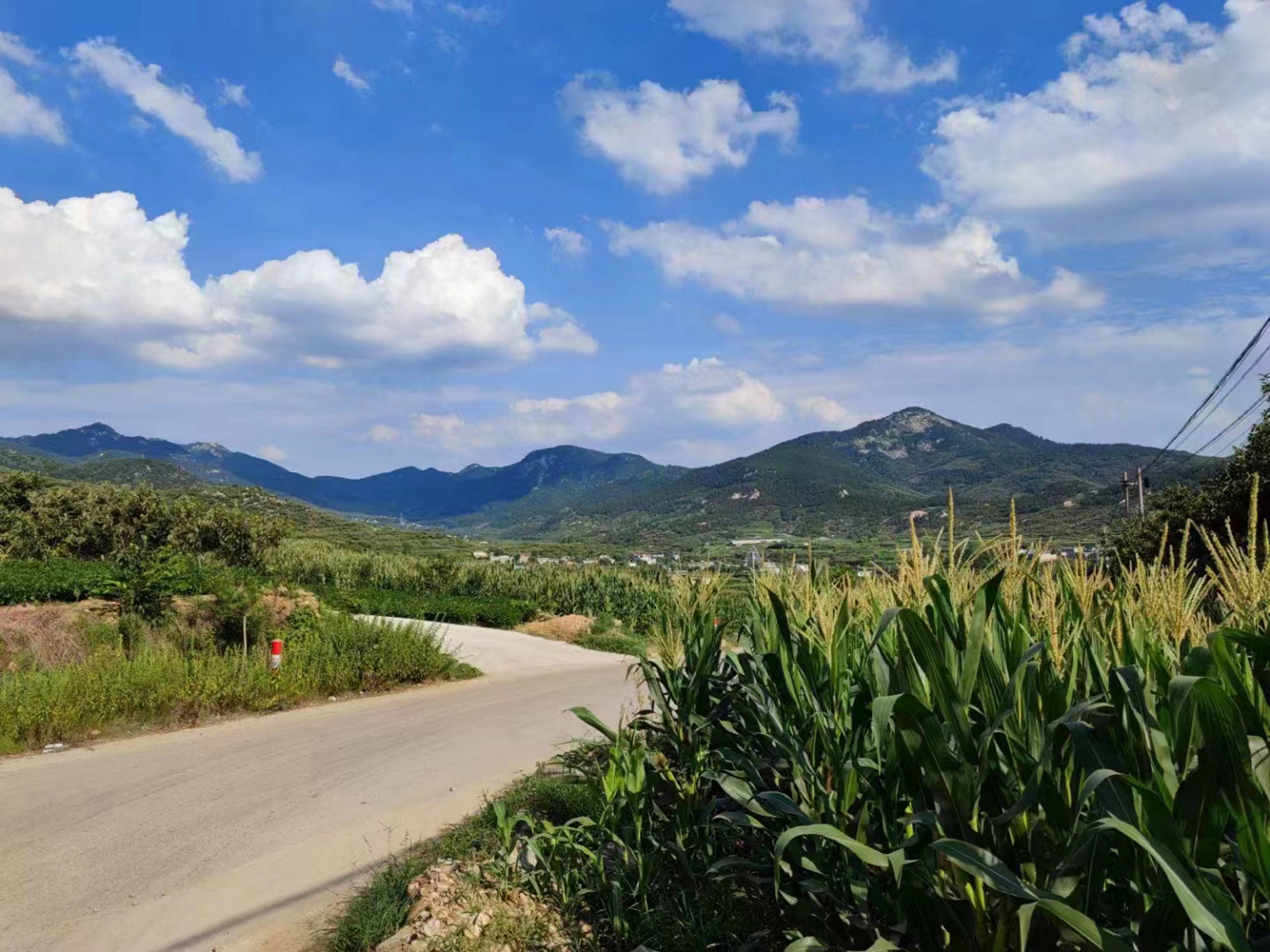 美丽乡村 尹纪伟摄(1).jpg
