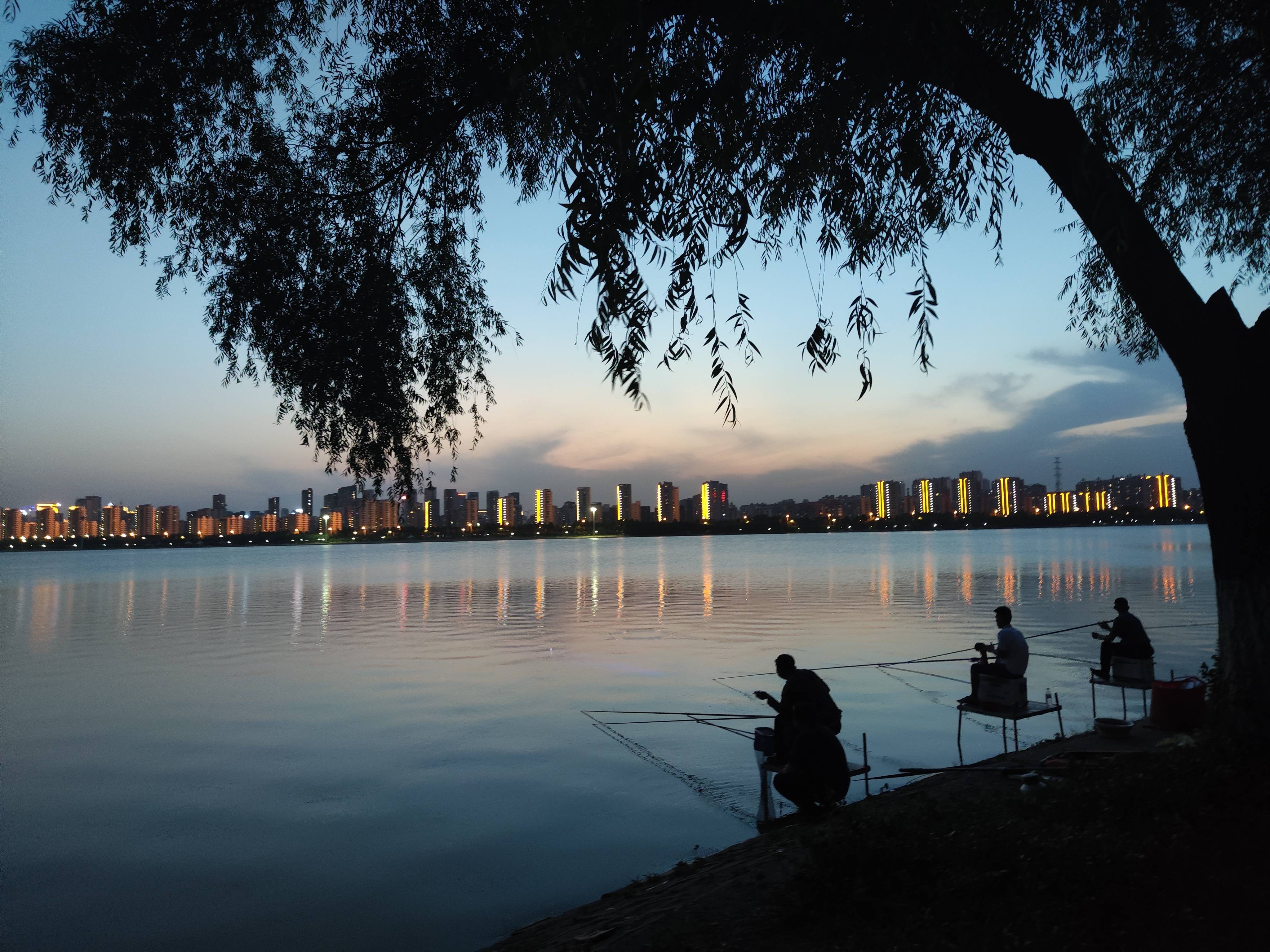 夕下垂柳钓灯火 闫玉鹏摄(1)(1).jpg