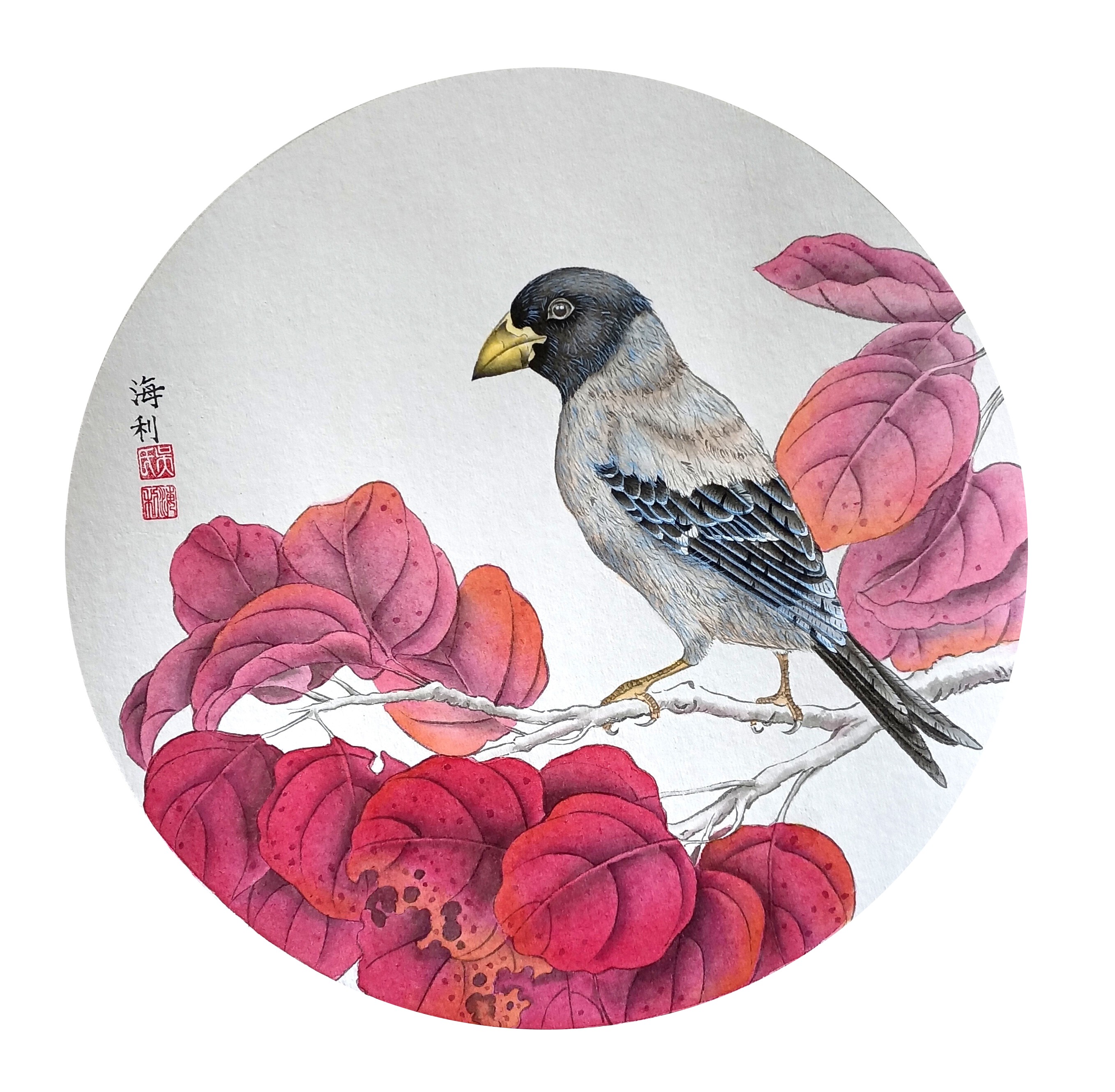 红叶蜡嘴 吴海利(1).jpg