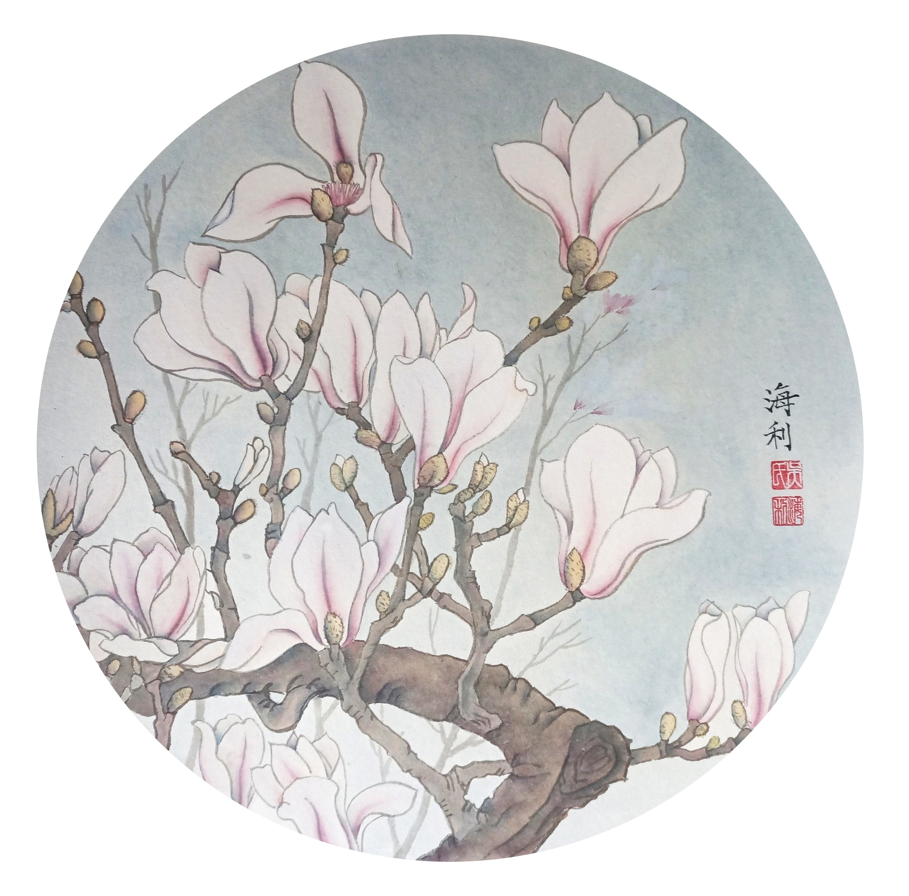 玉兰花 吴海利(1).jpg