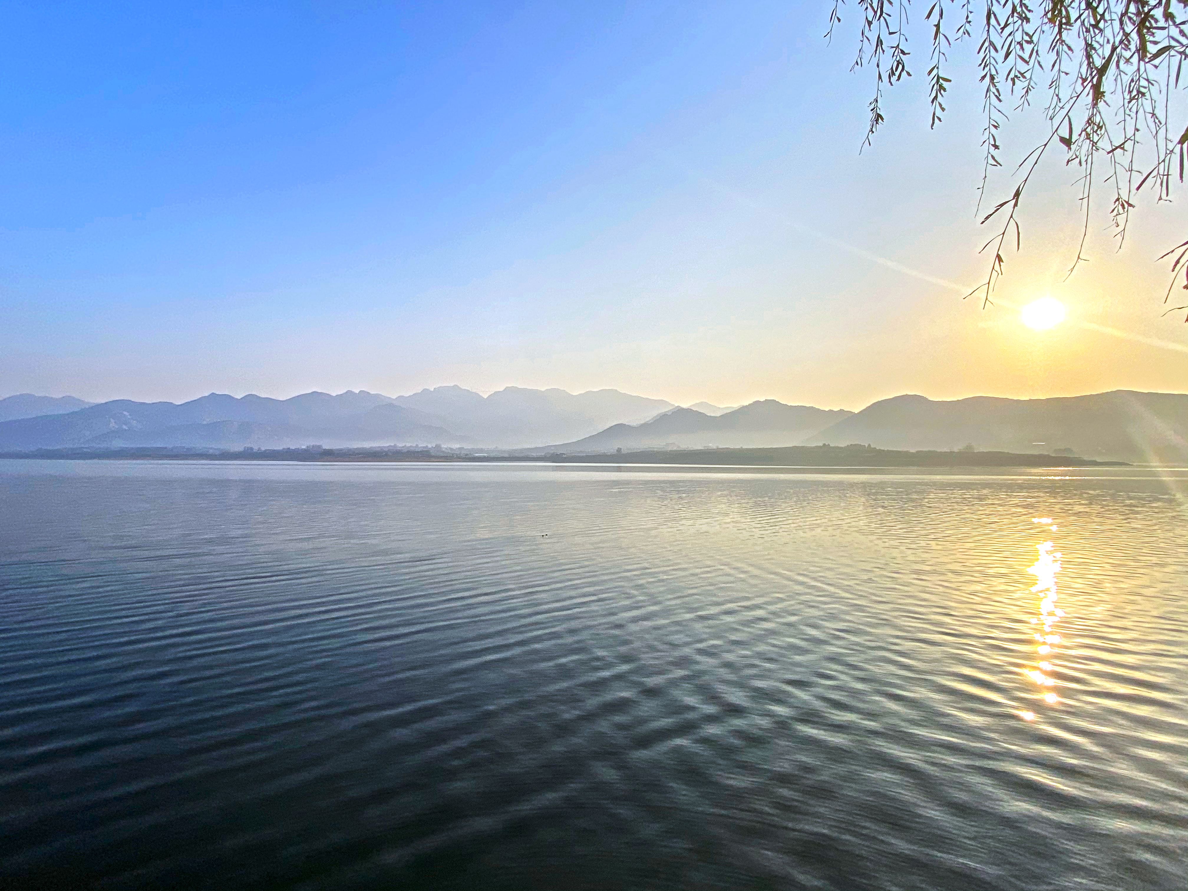 秋韵·紫： 全海飞摄_副本.jpg