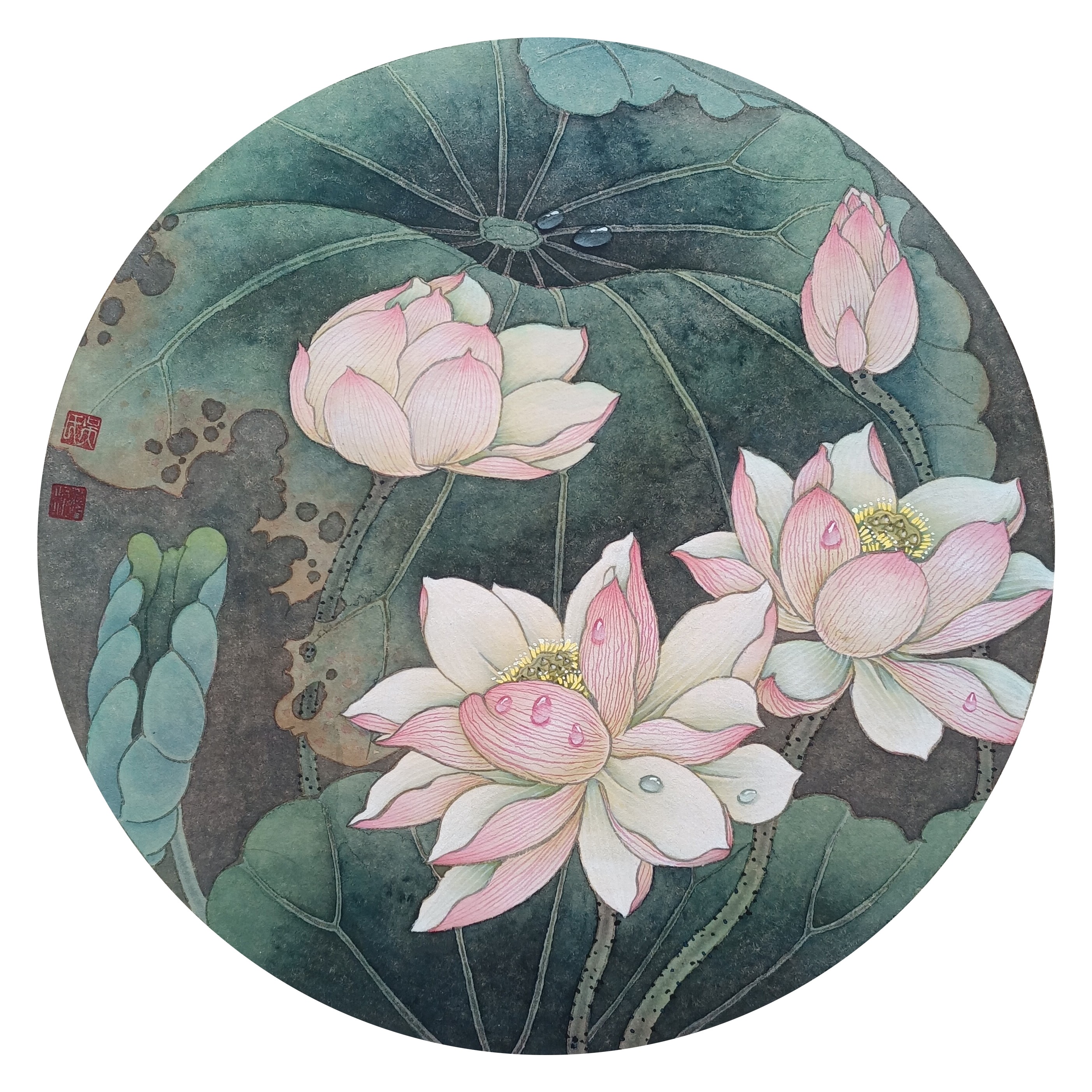 荷花 吴海利绘_副本.jpg