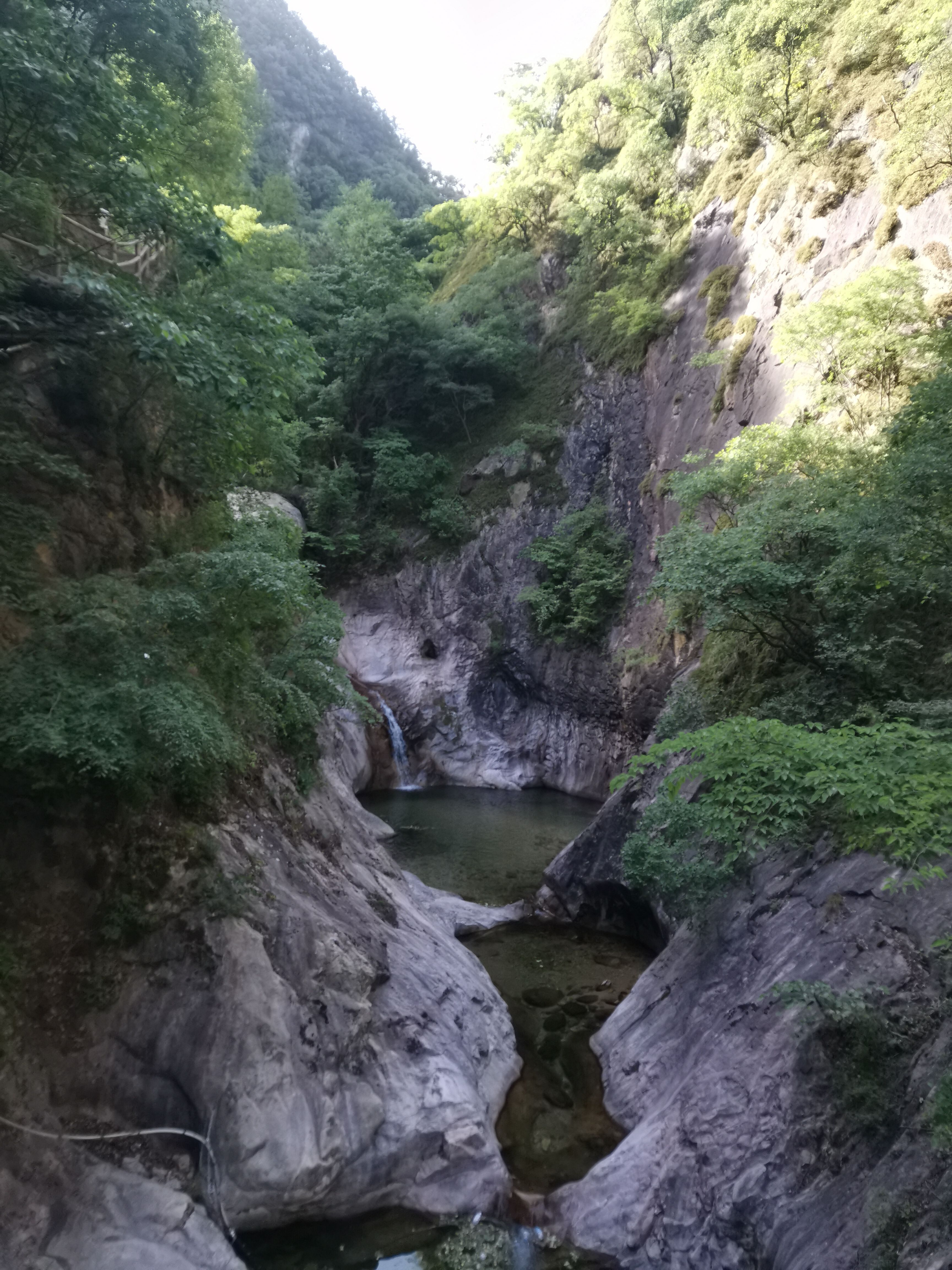 树阴照水爱晴柔 杨杰摄_副本.jpg