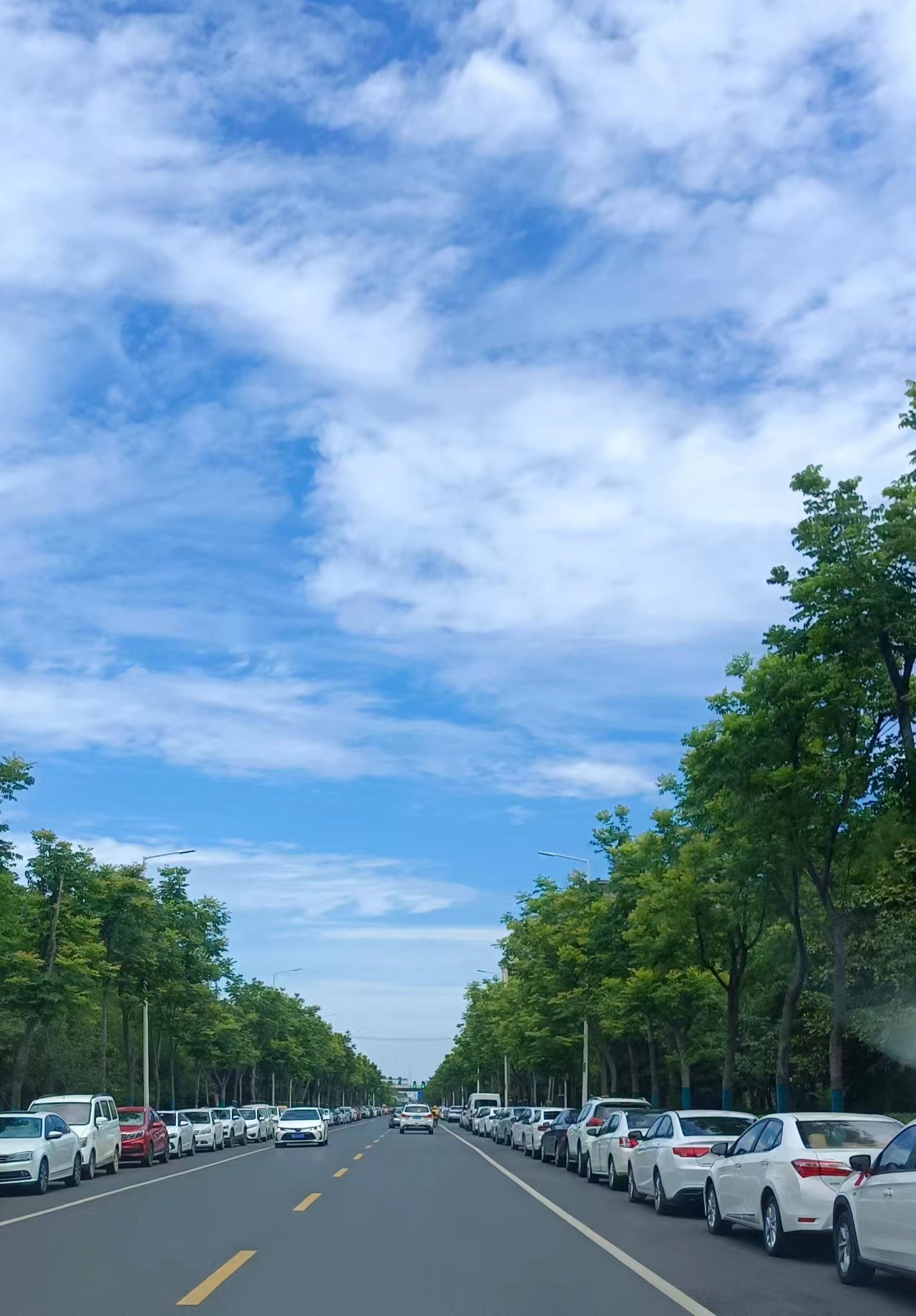 雨过天晴 张英摄.jpg